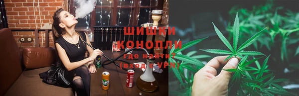 стаф Аркадак