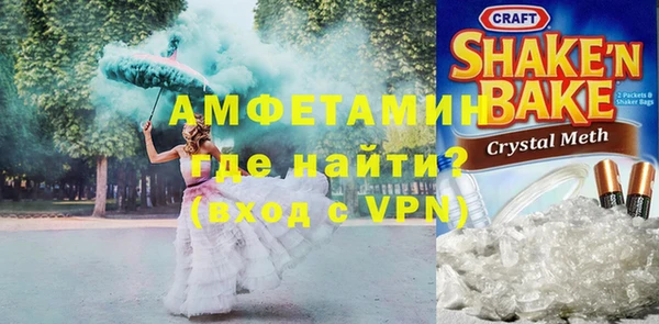 стаф Аркадак