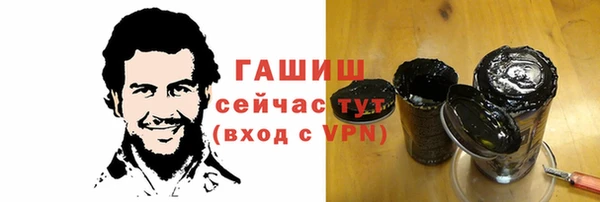 стаф Аркадак