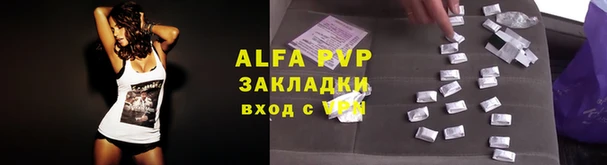 стаф Аркадак