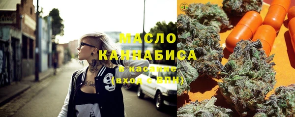 стаф Аркадак