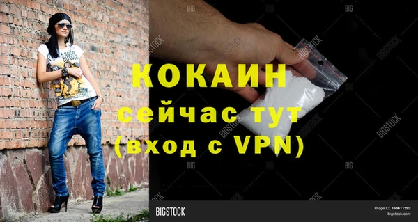 стаф Аркадак