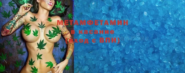 стаф Аркадак