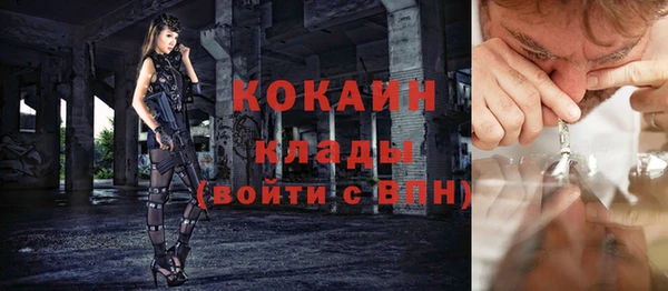 стаф Аркадак