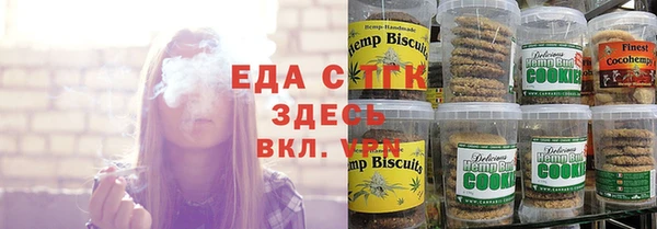 стаф Аркадак