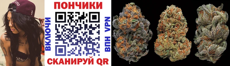 Бошки Шишки марихуана  как найти наркотики  Талдом 